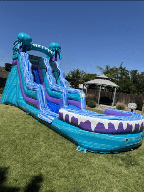Electric Jelly 15ft