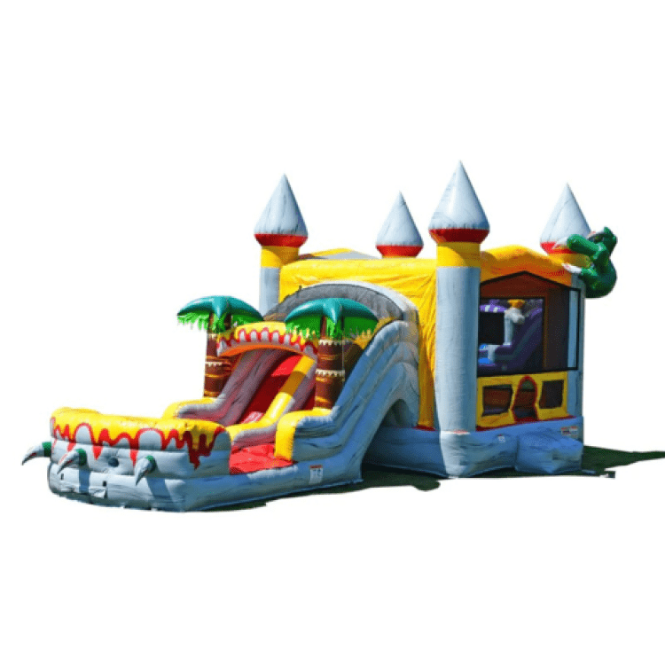 T-Rex Dual Lane Wet or Dry Combo