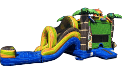 Hawaiian Dual Lane  Combo (wet or dry)