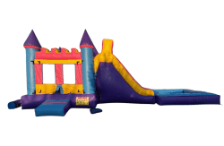 Pink Castle Combo (wet or dry)